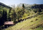 2005_05_15_a_holzschlag.jpg