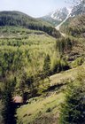 2005_05_15_b_holzschlag.jpg