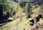 2005_05_15_c_holzschlag.jpg
