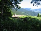 2005_06_23_o_bergstation_wiese.jpg