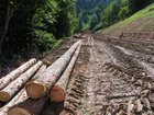 2005_07_06_m1_langwies_einfahrt.jpg