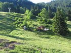 2005_07_06_y11_abbruch.jpg
