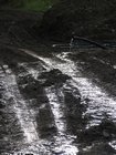 2005_08_18_f2_wassersammler.jpg