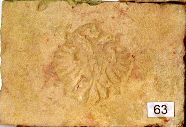 d_adler_nr063.jpg