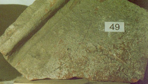 xiiii_nr049.jpg