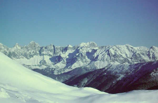 bild0011.jpg