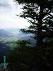 08_puchbergblick.jpg