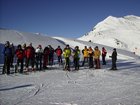 polargirl