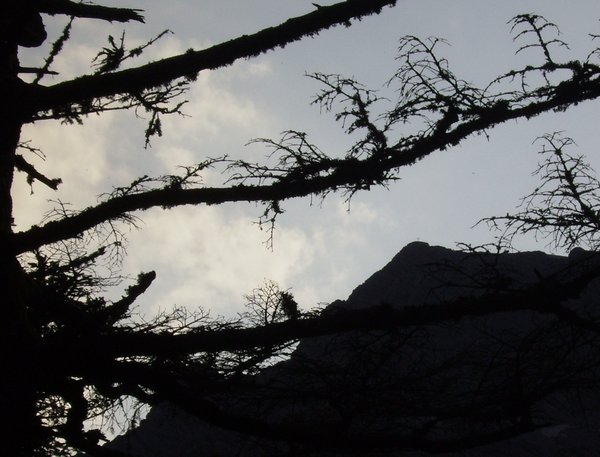 11_grimmingblick.jpg