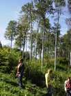 bild2598.jpg