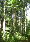bild2603.jpg