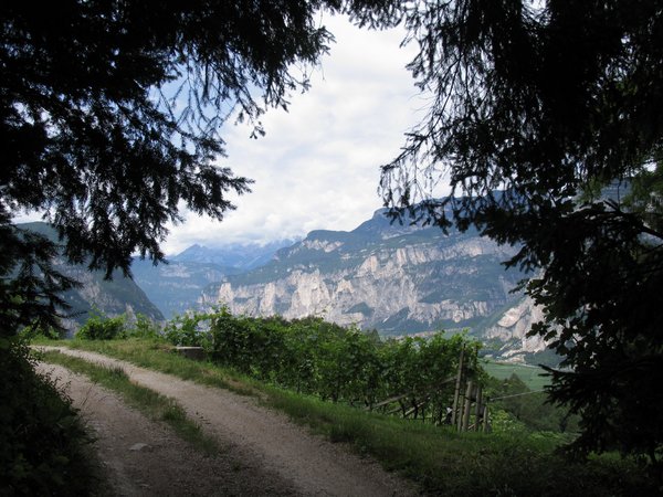 082_duererweg.jpg