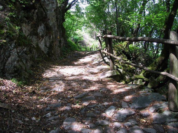 089_duererweg.jpg