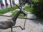 012_eiltler_bock.jpg