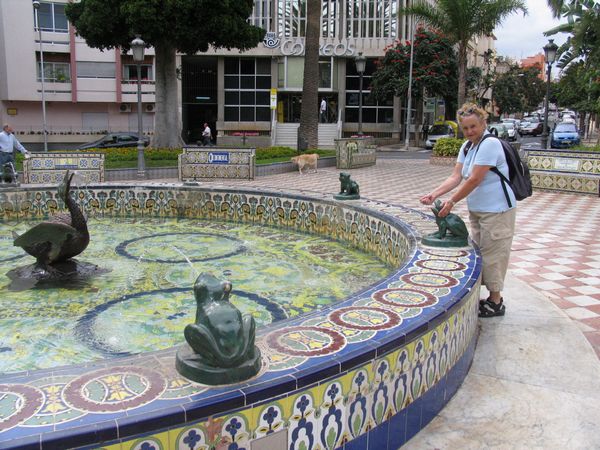 017_p_patos.jpg