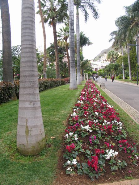 018_p_sanabria.jpg