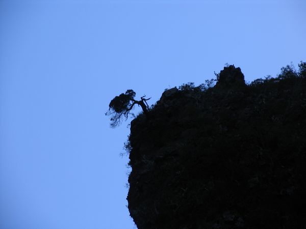 015_schlucht.jpg