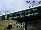 005_p_infernio.jpg