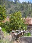 026_villaflor.jpg