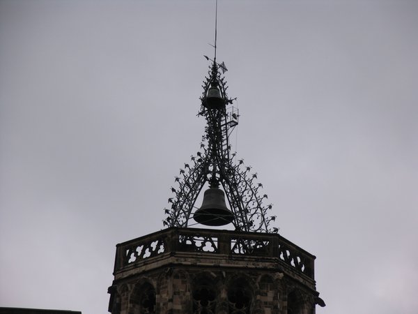 img_1233.jpg