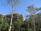 img_0665.jpg