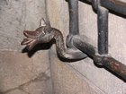 img_1231.jpg