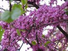 img_1245.jpg