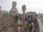 img_0917.jpg