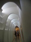 img_0981.jpg