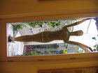 img_1096.jpg
