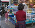 img_0643.jpg