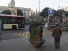 img_0649.jpg