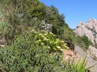 img_0747.jpg