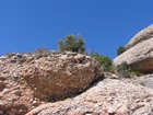 img_0758.jpg