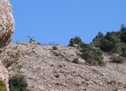 img_0766.jpg
