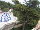 img_1027.jpg