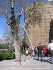 img_0541.jpg