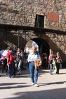 img_0545.jpg