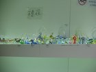 img_0563.jpg