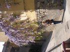 img_0580.jpg
